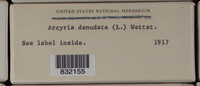 Arcyria denudata image